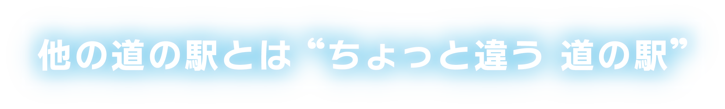 他の道の駅とは‟ちょっと違う道の駅”