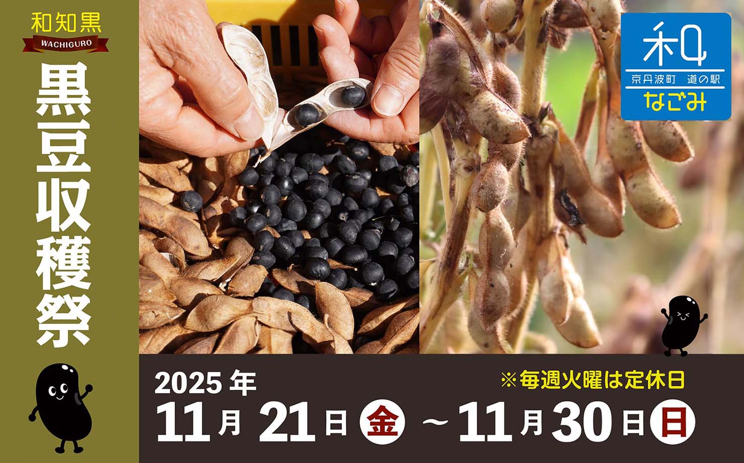 道の駅 和のイベント 黒豆収穫祭（黒豆収穫体験）